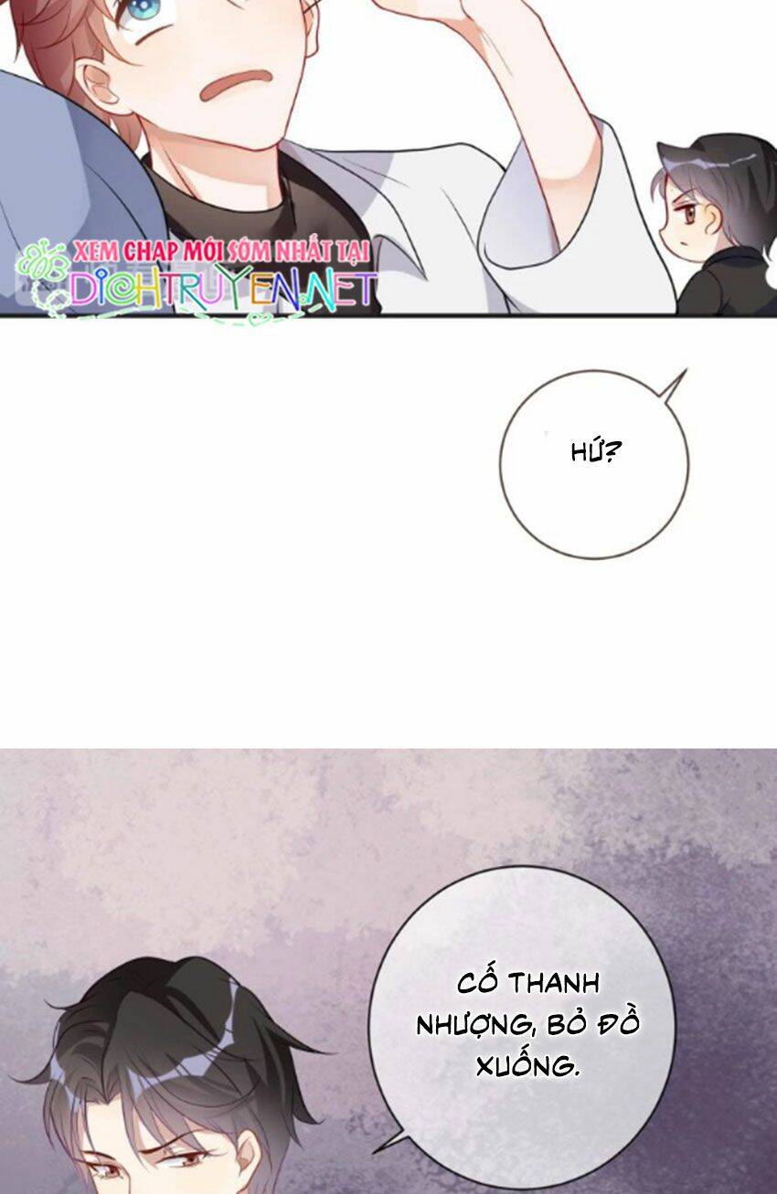 Ảnh Đế Làm Loạn Đòi Ly Hôn Chapter 2 - Trang 2