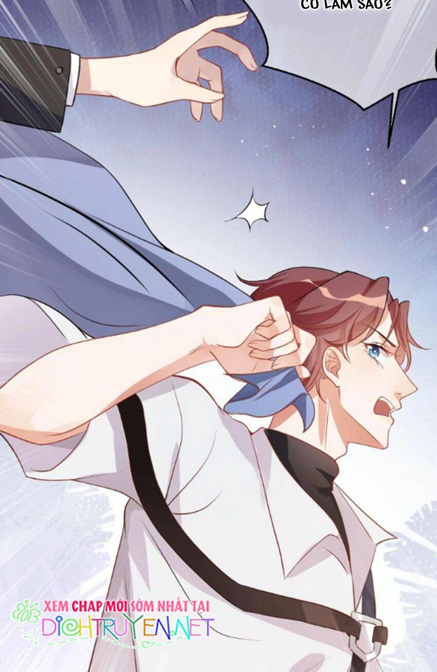 Ảnh Đế Làm Loạn Đòi Ly Hôn Chapter 2 - Trang 2