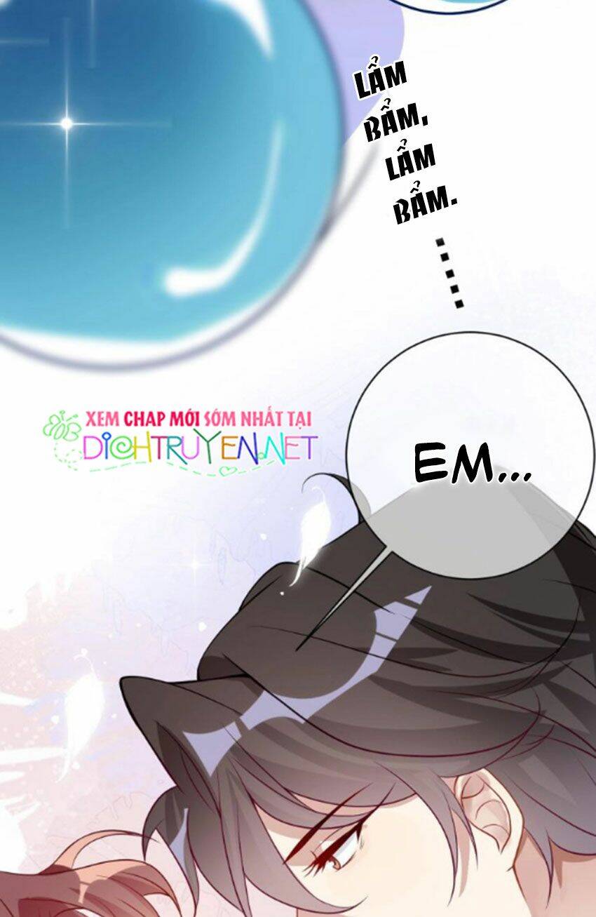 Ảnh Đế Làm Loạn Đòi Ly Hôn Chapter 2 - Trang 2