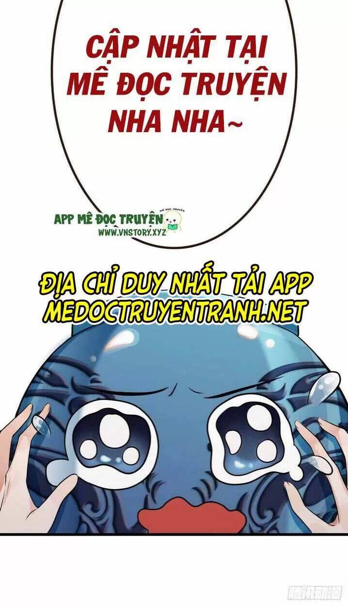 Ảnh Đế Làm Loạn Đòi Ly Hôn Chapter 24 - Trang 2