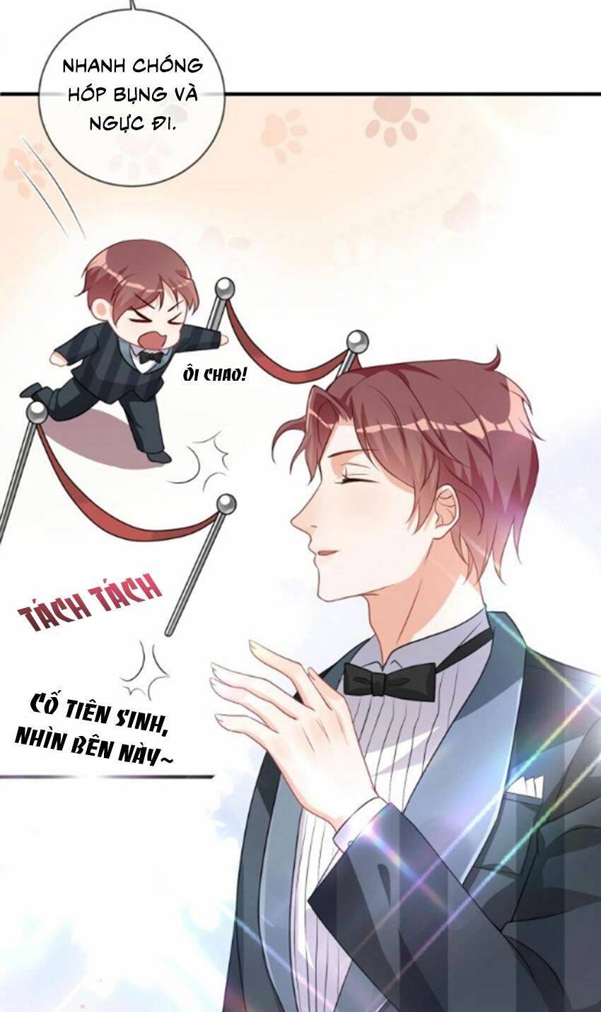 Ảnh Đế Làm Loạn Đòi Ly Hôn Chapter 3 - Trang 2