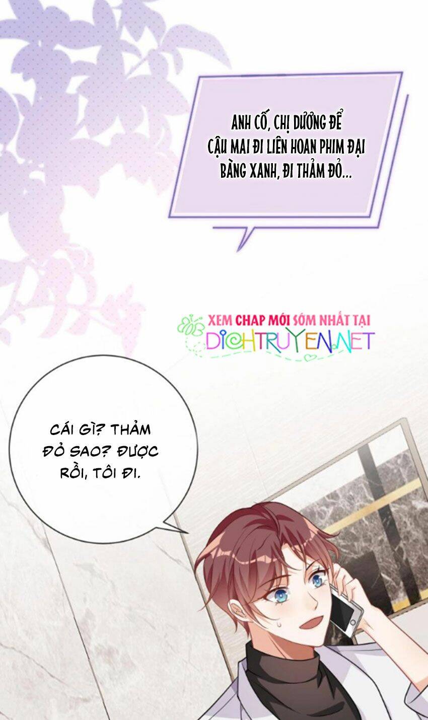 Ảnh Đế Làm Loạn Đòi Ly Hôn Chapter 3 - Trang 2