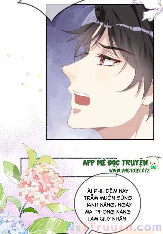 Ảnh Đế Làm Loạn Đòi Ly Hôn Chapter 46 - Trang 2