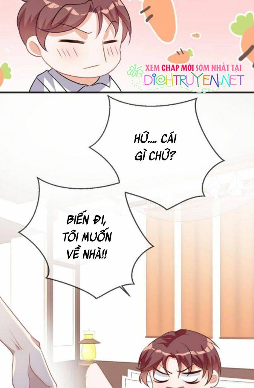 Ảnh Đế Làm Loạn Đòi Ly Hôn Chapter 5 - Trang 2