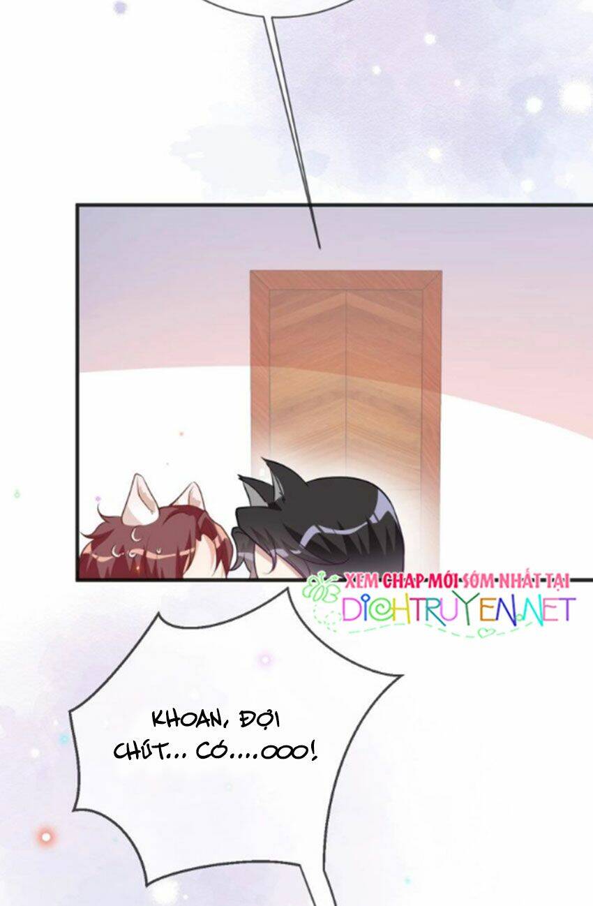 Ảnh Đế Làm Loạn Đòi Ly Hôn Chapter 5 - Trang 2