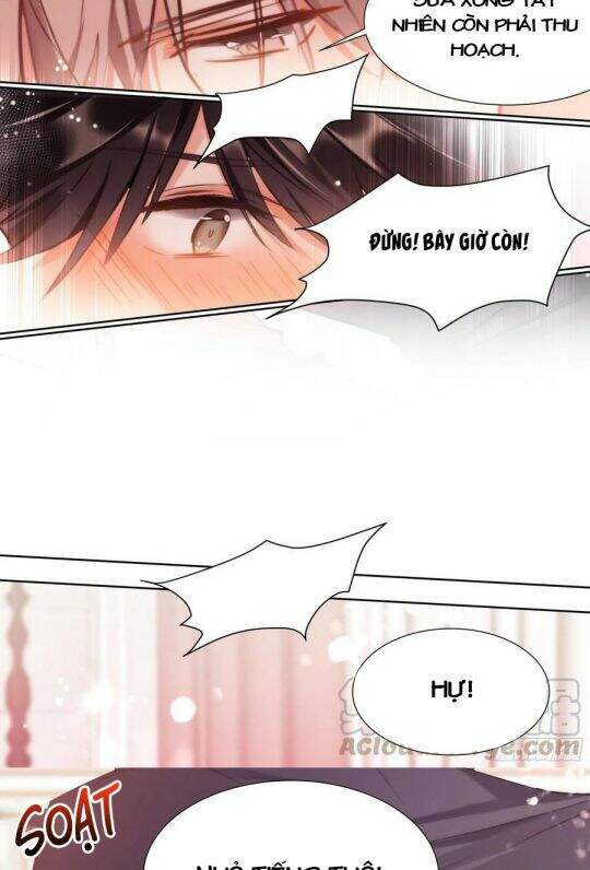 Ảnh Đế X Ảnh Đế Chapter 185 - Trang 2