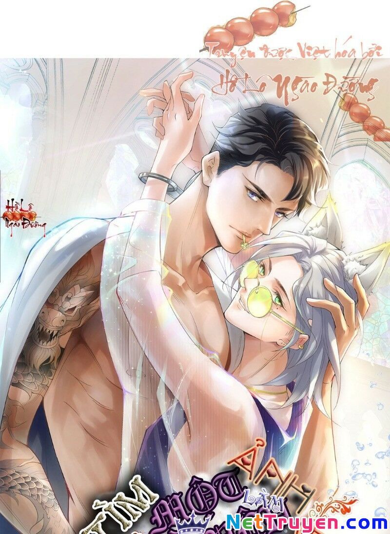 Ảnh Đế Yêu Hồ Chapter 16 - Trang 2