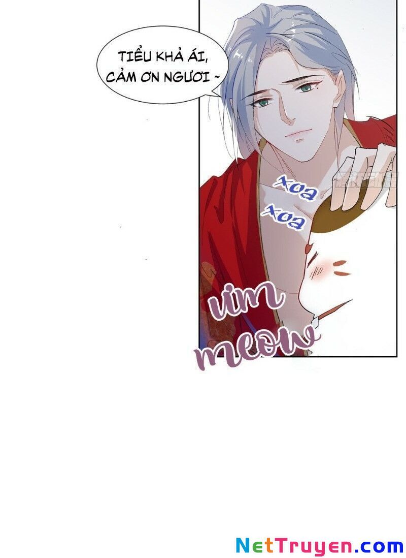 Ảnh Đế Yêu Hồ Chapter 16 - Trang 2