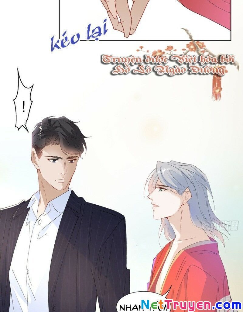 Ảnh Đế Yêu Hồ Chapter 16 - Trang 2