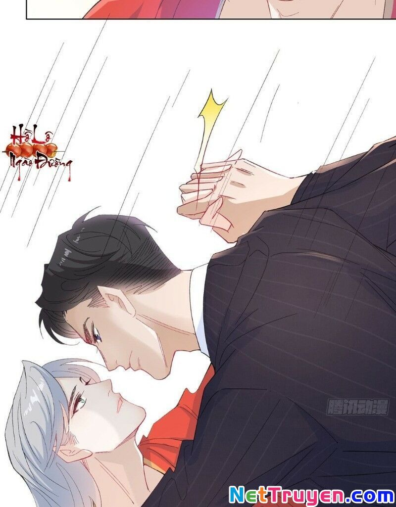 Ảnh Đế Yêu Hồ Chapter 16 - Trang 2