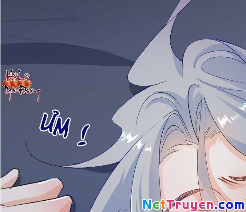 Ảnh Đế Yêu Hồ Chapter 16 - Trang 2