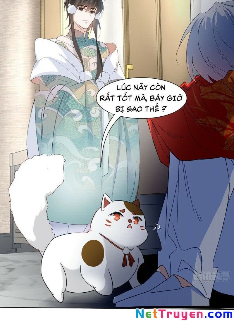 Ảnh Đế Yêu Hồ Chapter 16 - Trang 2