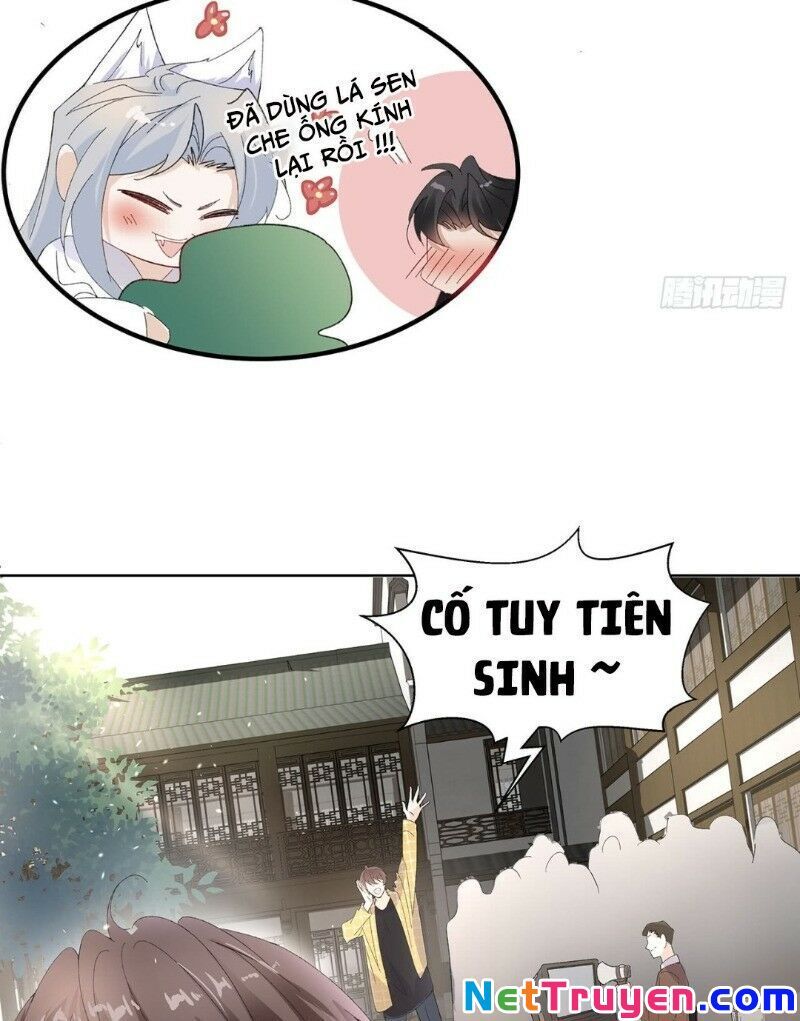 Ảnh Đế Yêu Hồ Chapter 17 - Trang 2