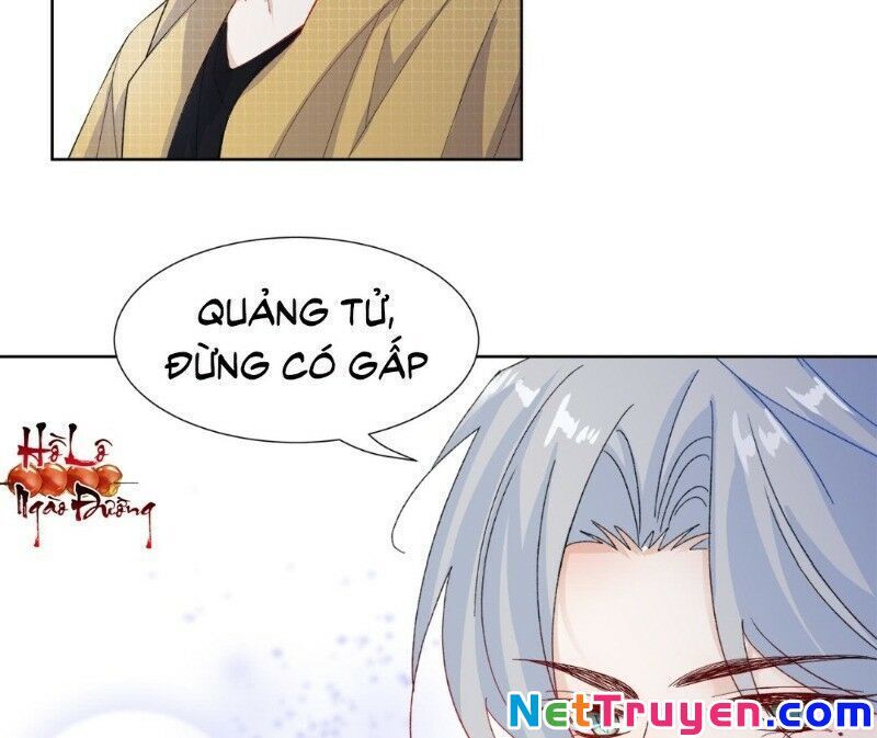 Ảnh Đế Yêu Hồ Chapter 17 - Trang 2