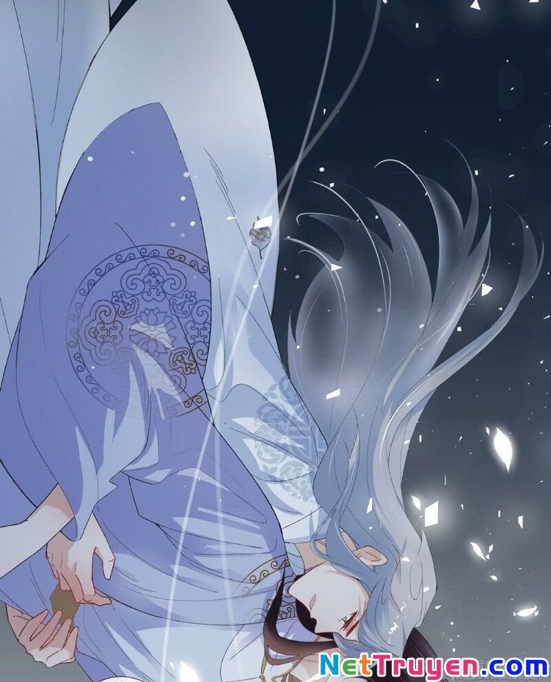 Ảnh Đế Yêu Hồ Chapter 18 - Trang 2