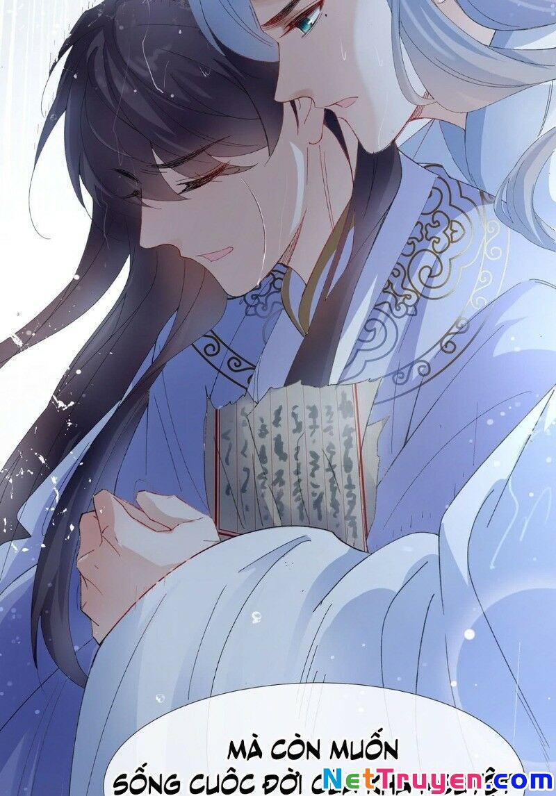 Ảnh Đế Yêu Hồ Chapter 18 - Trang 2