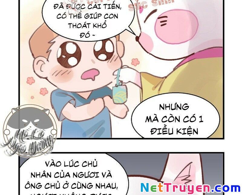 Ảnh Đế Yêu Hồ Chapter 19 - Trang 2