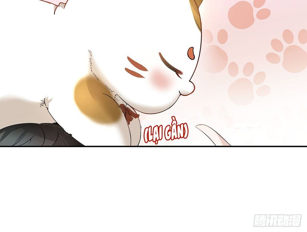 Ảnh Đế Yêu Hồ Chapter 2 - Trang 2