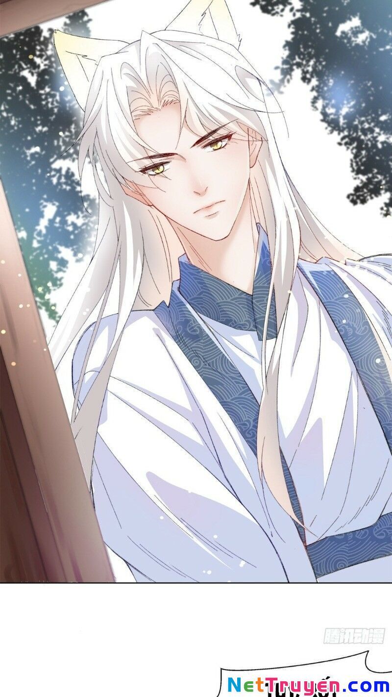 Ảnh Đế Yêu Hồ Chapter 20 - Trang 2