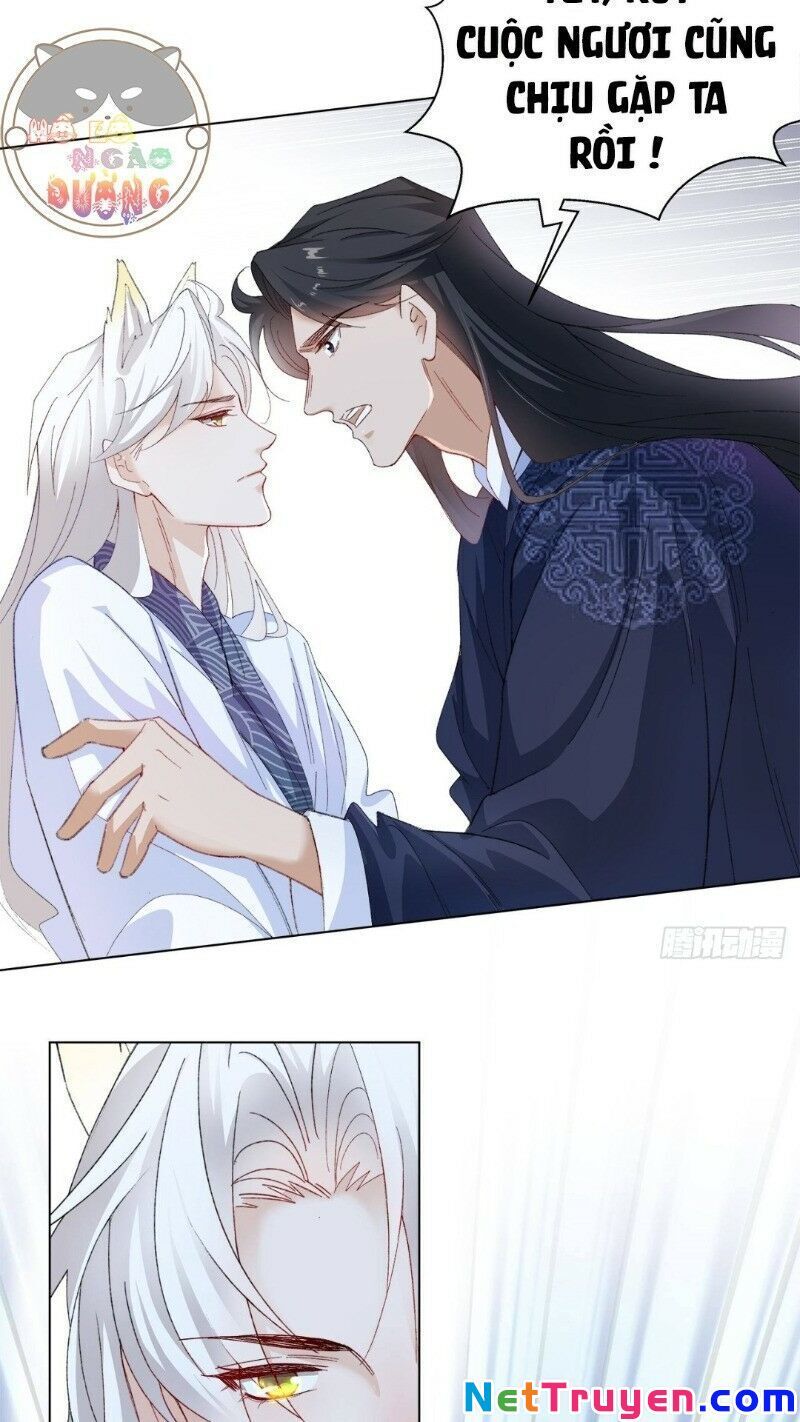 Ảnh Đế Yêu Hồ Chapter 20 - Trang 2