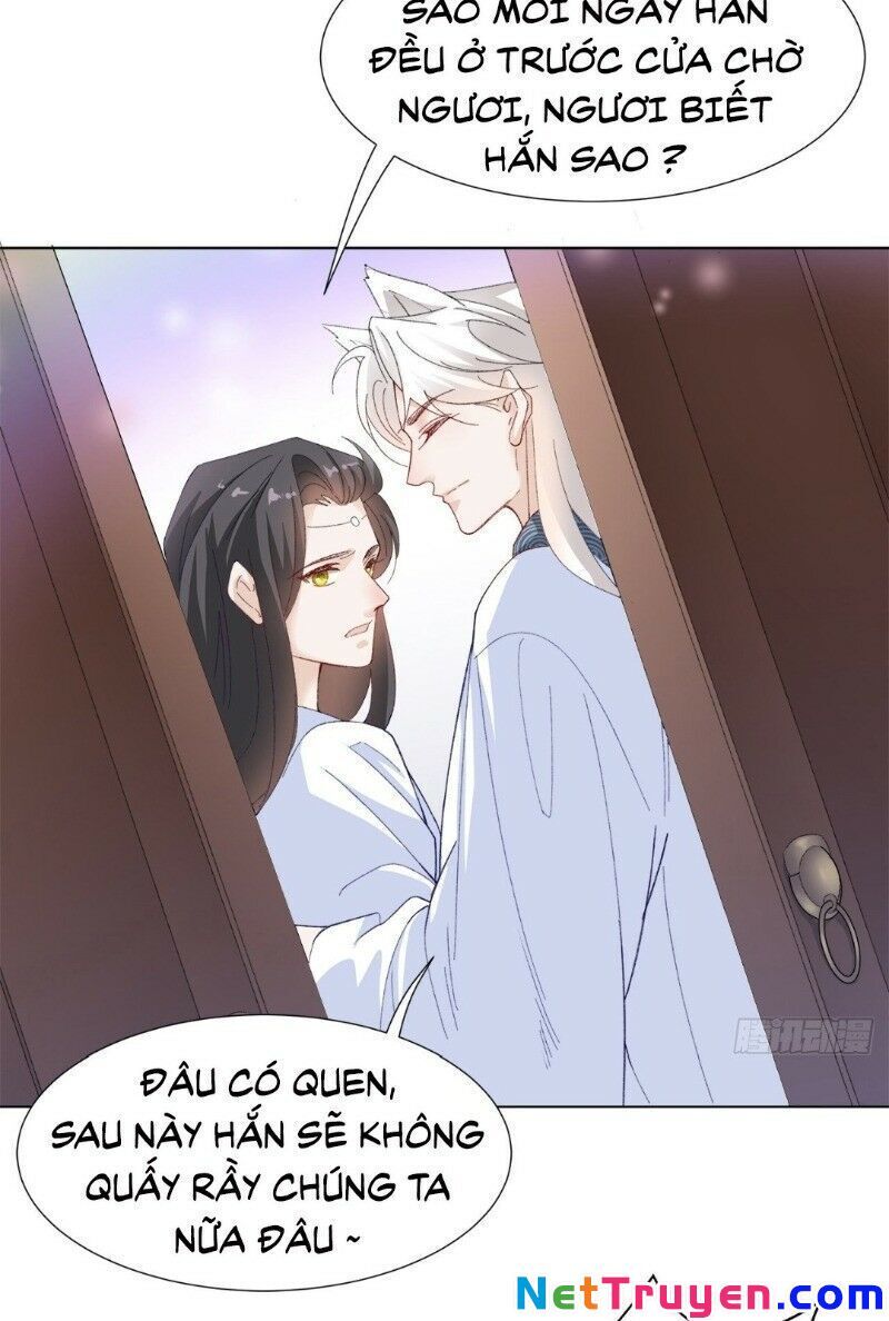 Ảnh Đế Yêu Hồ Chapter 20 - Trang 2