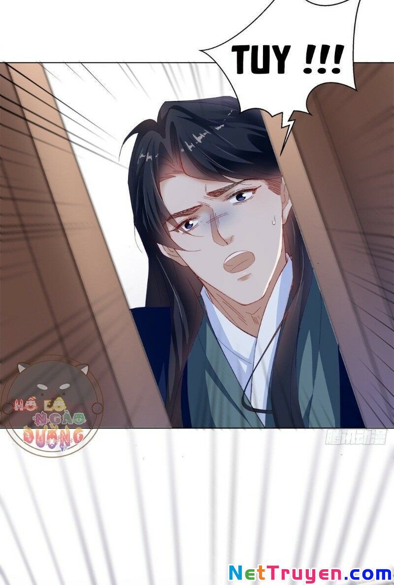 Ảnh Đế Yêu Hồ Chapter 20 - Trang 2