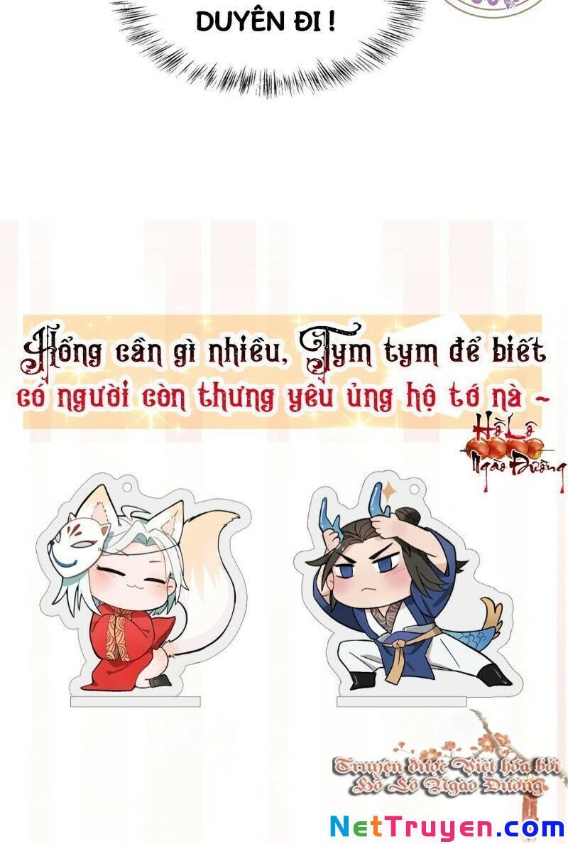 Ảnh Đế Yêu Hồ Chapter 20 - Trang 2