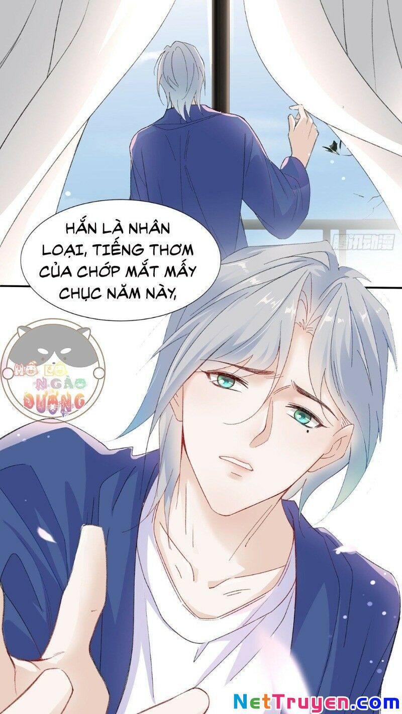 Ảnh Đế Yêu Hồ Chapter 21 - Trang 2