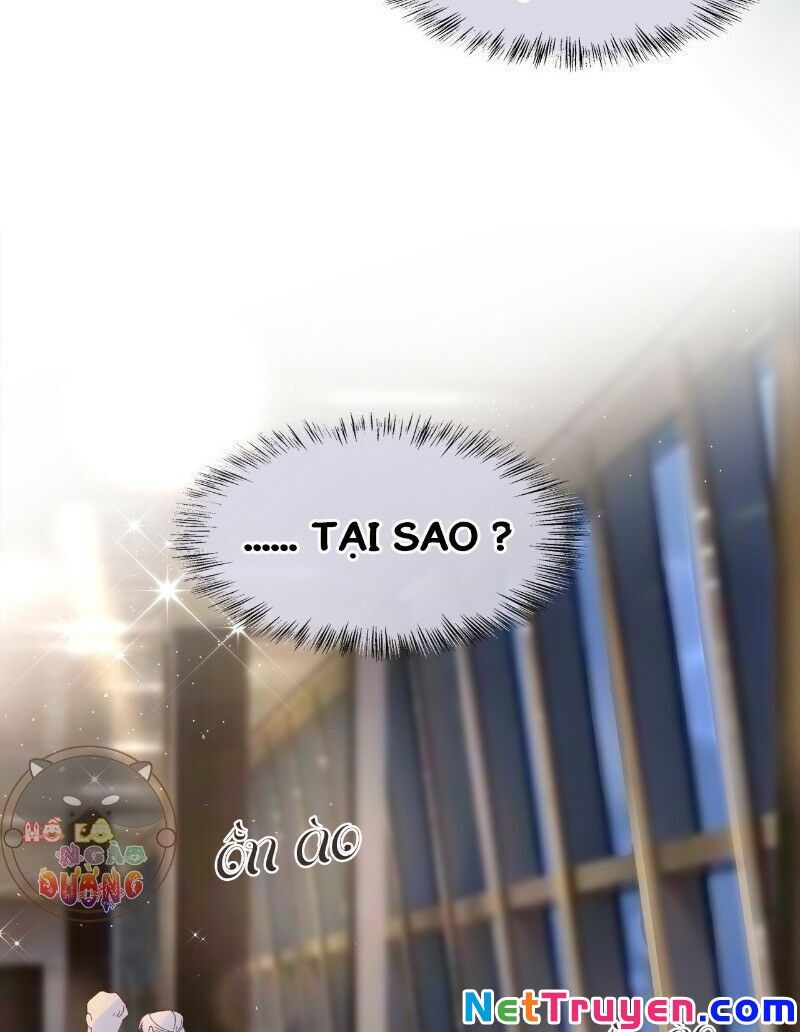 Ảnh Đế Yêu Hồ Chapter 23 - Trang 2