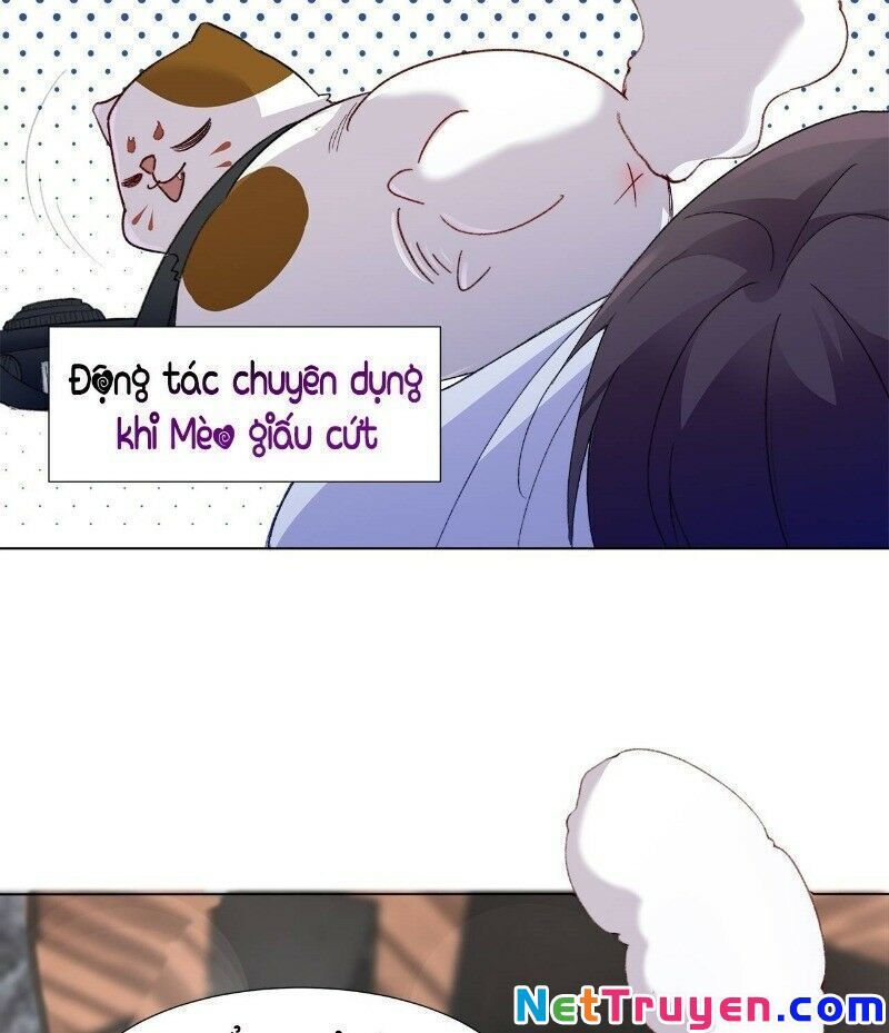 Ảnh Đế Yêu Hồ Chapter 24 - Trang 2