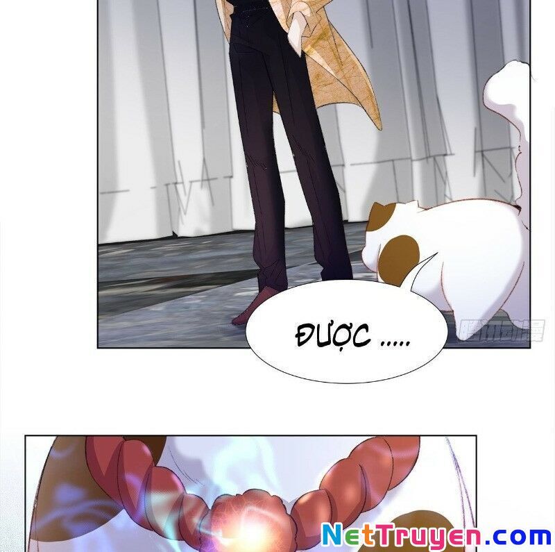 Ảnh Đế Yêu Hồ Chapter 24 - Trang 2