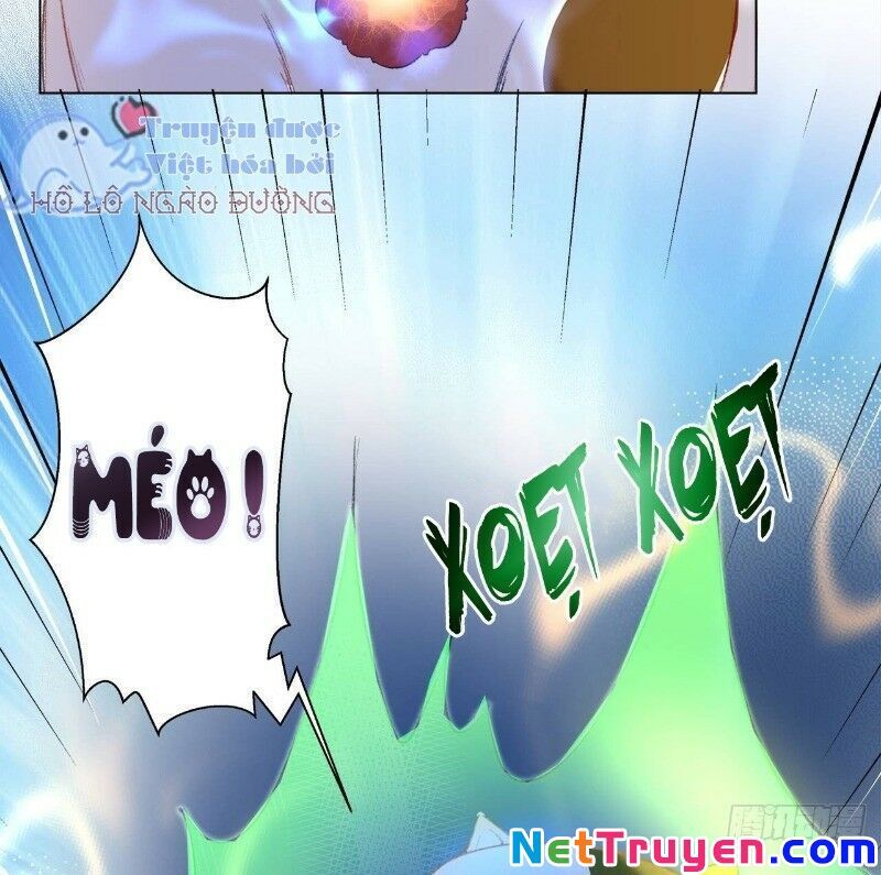 Ảnh Đế Yêu Hồ Chapter 24 - Trang 2