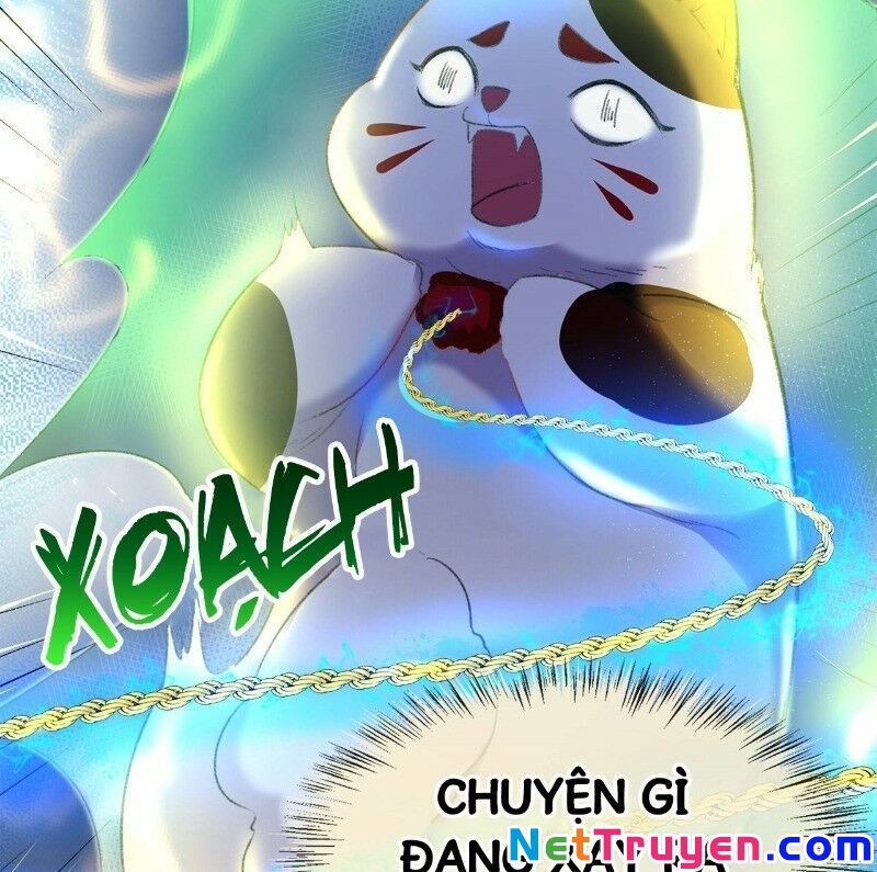 Ảnh Đế Yêu Hồ Chapter 24 - Trang 2