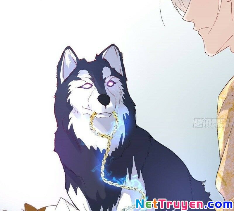 Ảnh Đế Yêu Hồ Chapter 24 - Trang 2