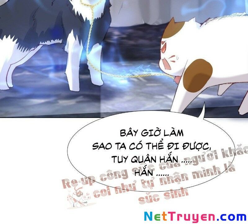 Ảnh Đế Yêu Hồ Chapter 24 - Trang 2