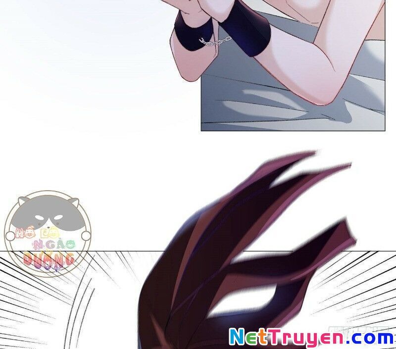 Ảnh Đế Yêu Hồ Chapter 24 - Trang 2