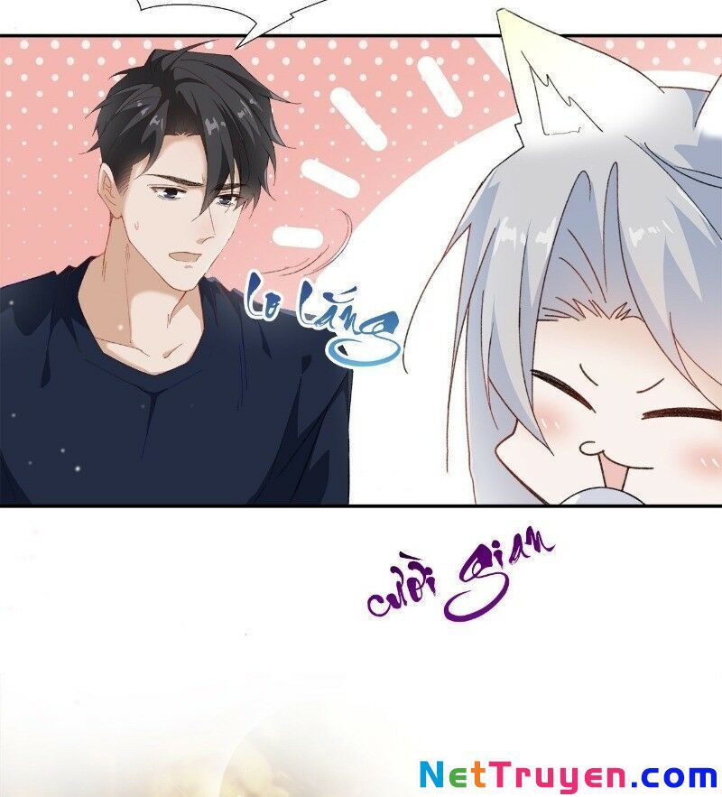 Ảnh Đế Yêu Hồ Chapter 27 - Trang 2