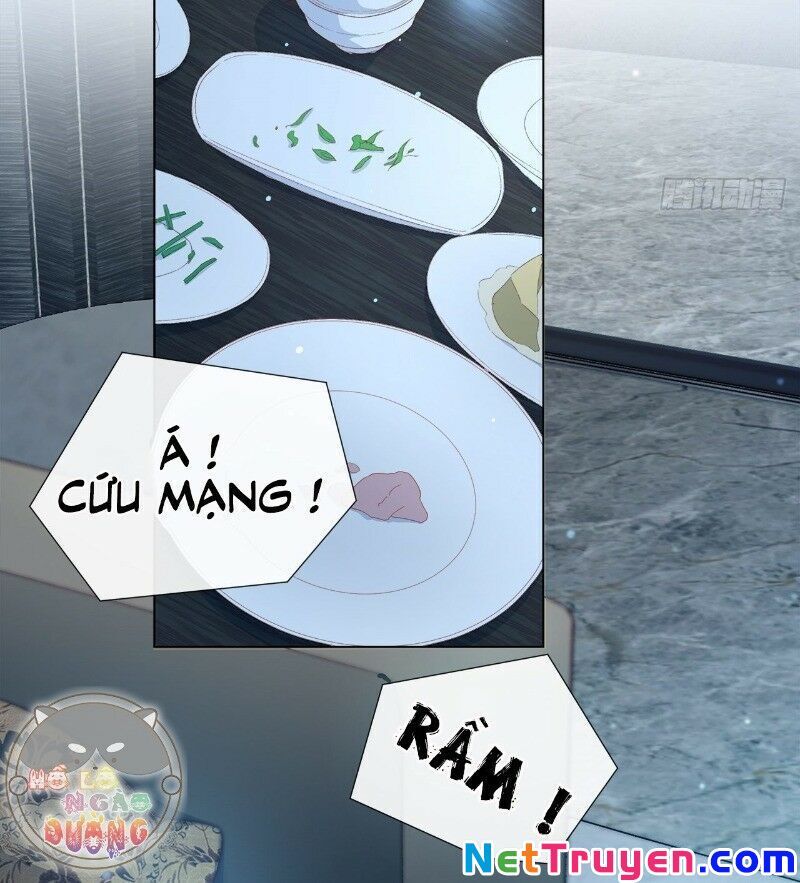 Ảnh Đế Yêu Hồ Chapter 27 - Trang 2