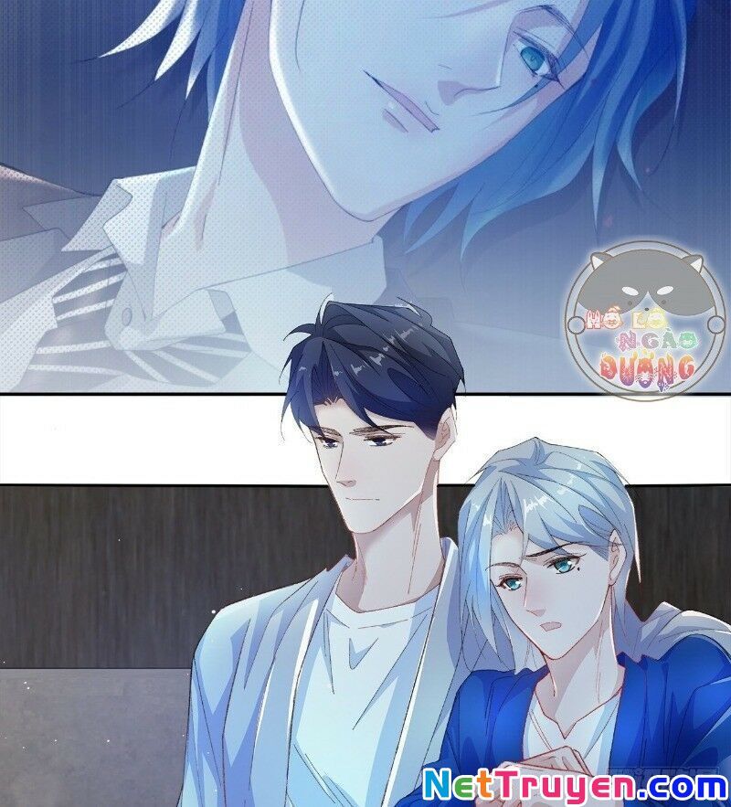 Ảnh Đế Yêu Hồ Chapter 27 - Trang 2