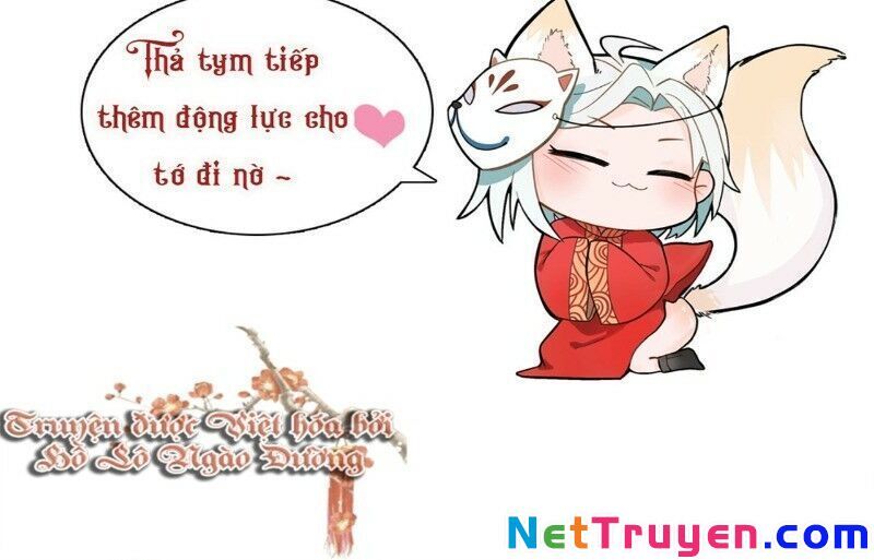 Ảnh Đế Yêu Hồ Chapter 28 - Trang 2