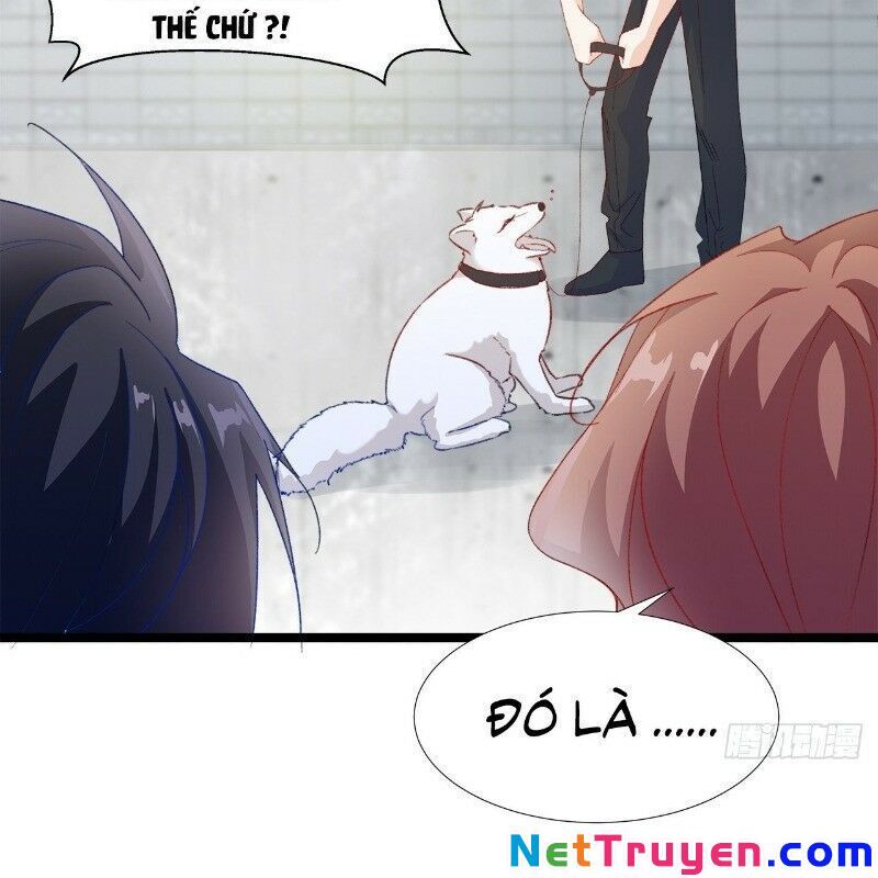 Ảnh Đế Yêu Hồ Chapter 29 - Trang 2