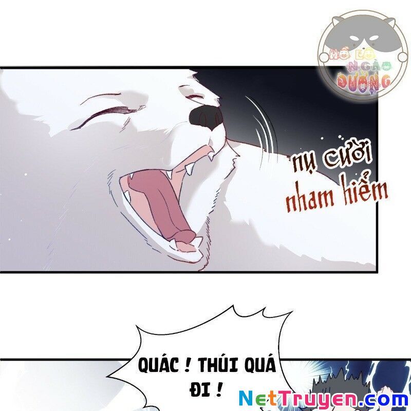 Ảnh Đế Yêu Hồ Chapter 29 - Trang 2