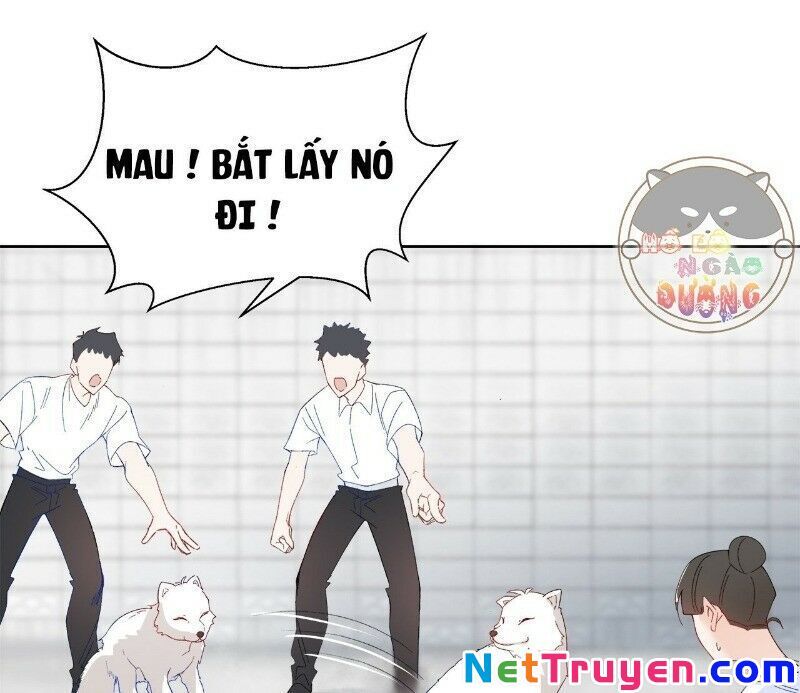 Ảnh Đế Yêu Hồ Chapter 29 - Trang 2