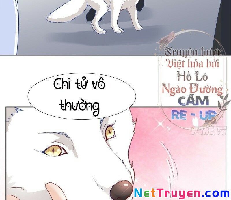 Ảnh Đế Yêu Hồ Chapter 29 - Trang 2