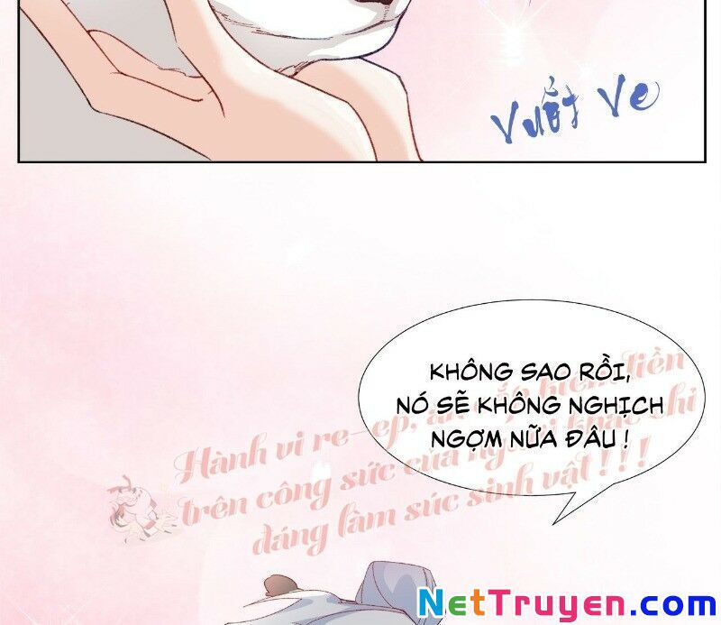 Ảnh Đế Yêu Hồ Chapter 29 - Trang 2