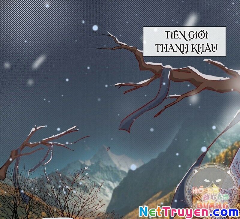 Ảnh Đế Yêu Hồ Chapter 29 - Trang 2