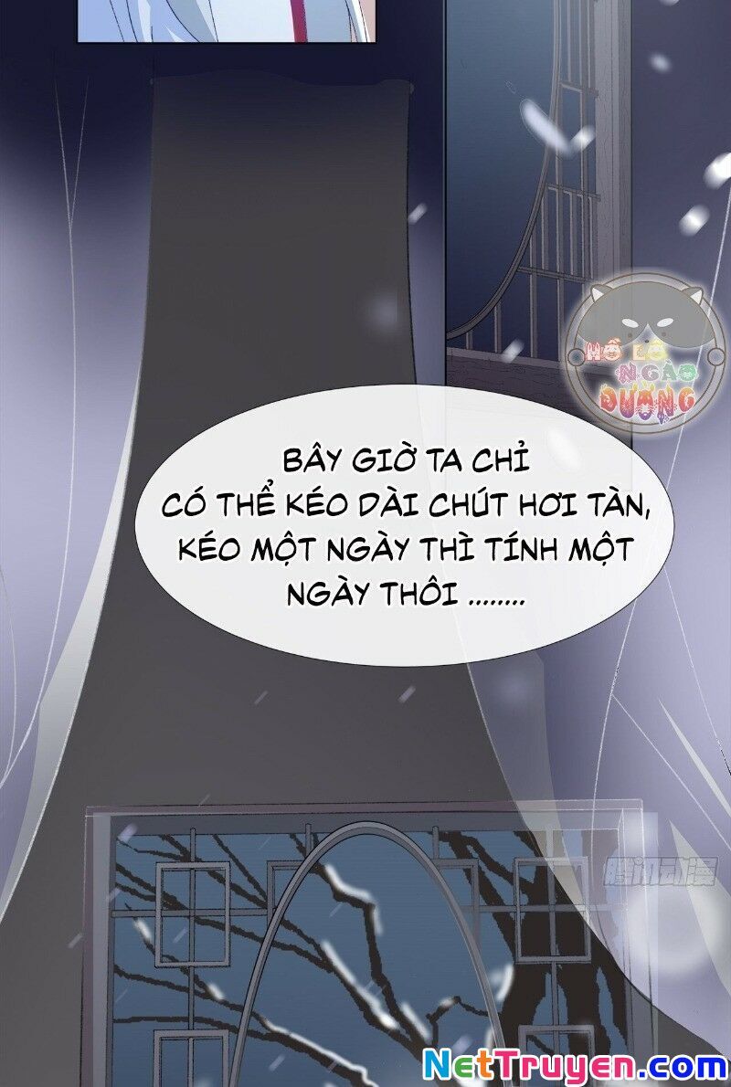 Ảnh Đế Yêu Hồ Chapter 29 - Trang 2