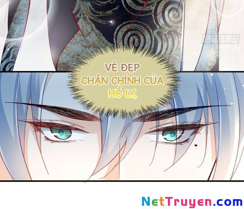Ảnh Đế Yêu Hồ Chapter 30 - Trang 2