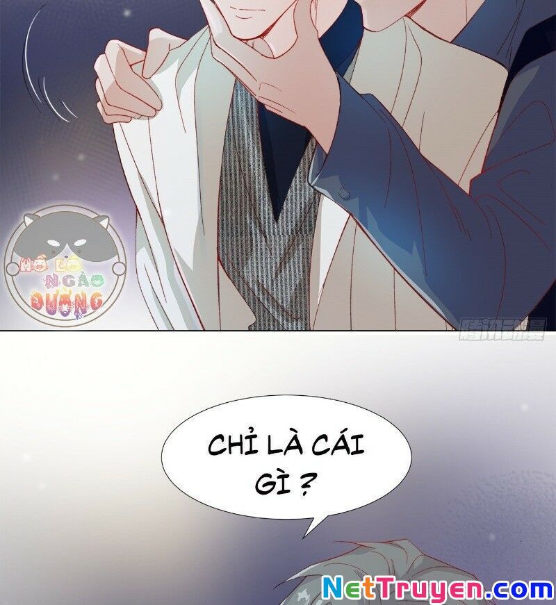 Ảnh Đế Yêu Hồ Chapter 30 - Trang 2