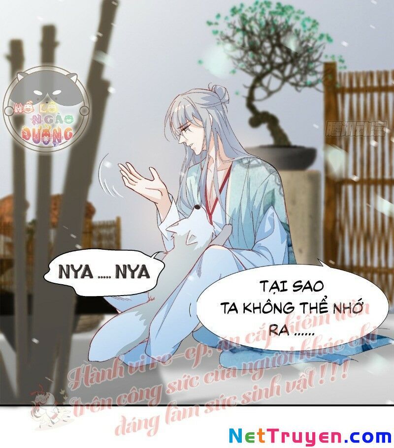 Ảnh Đế Yêu Hồ Chapter 30 - Trang 2